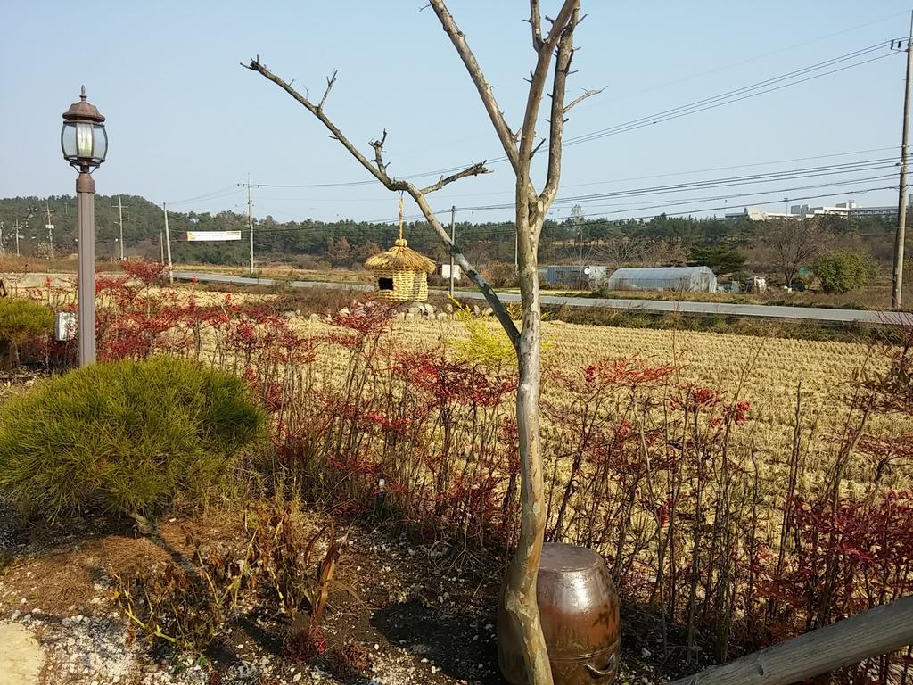 Starlight Journey Pension Gyeongju Dış mekan fotoğraf