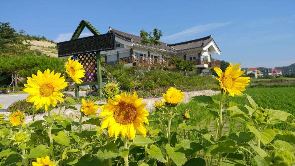 Starlight Journey Pension Gyeongju Dış mekan fotoğraf